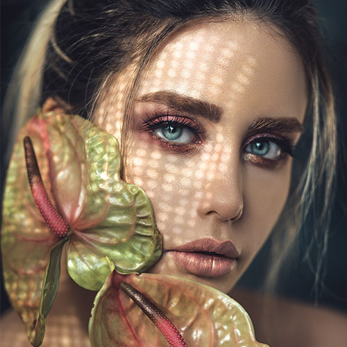 Home image gallery 01